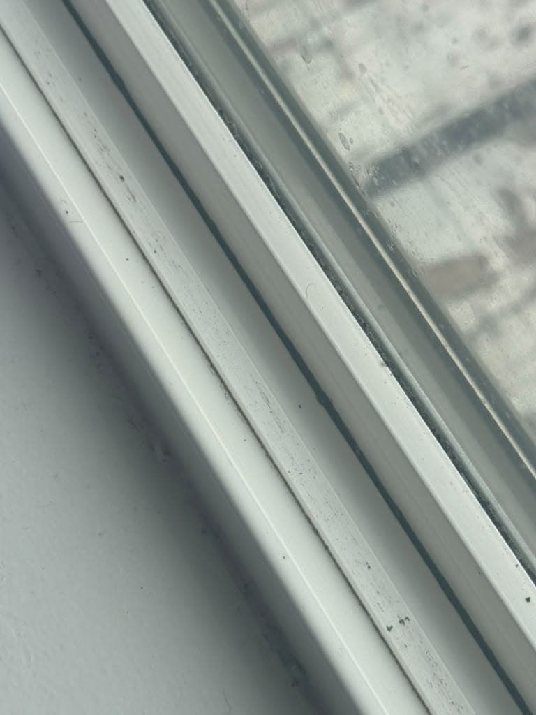 Window track after detail cleaning